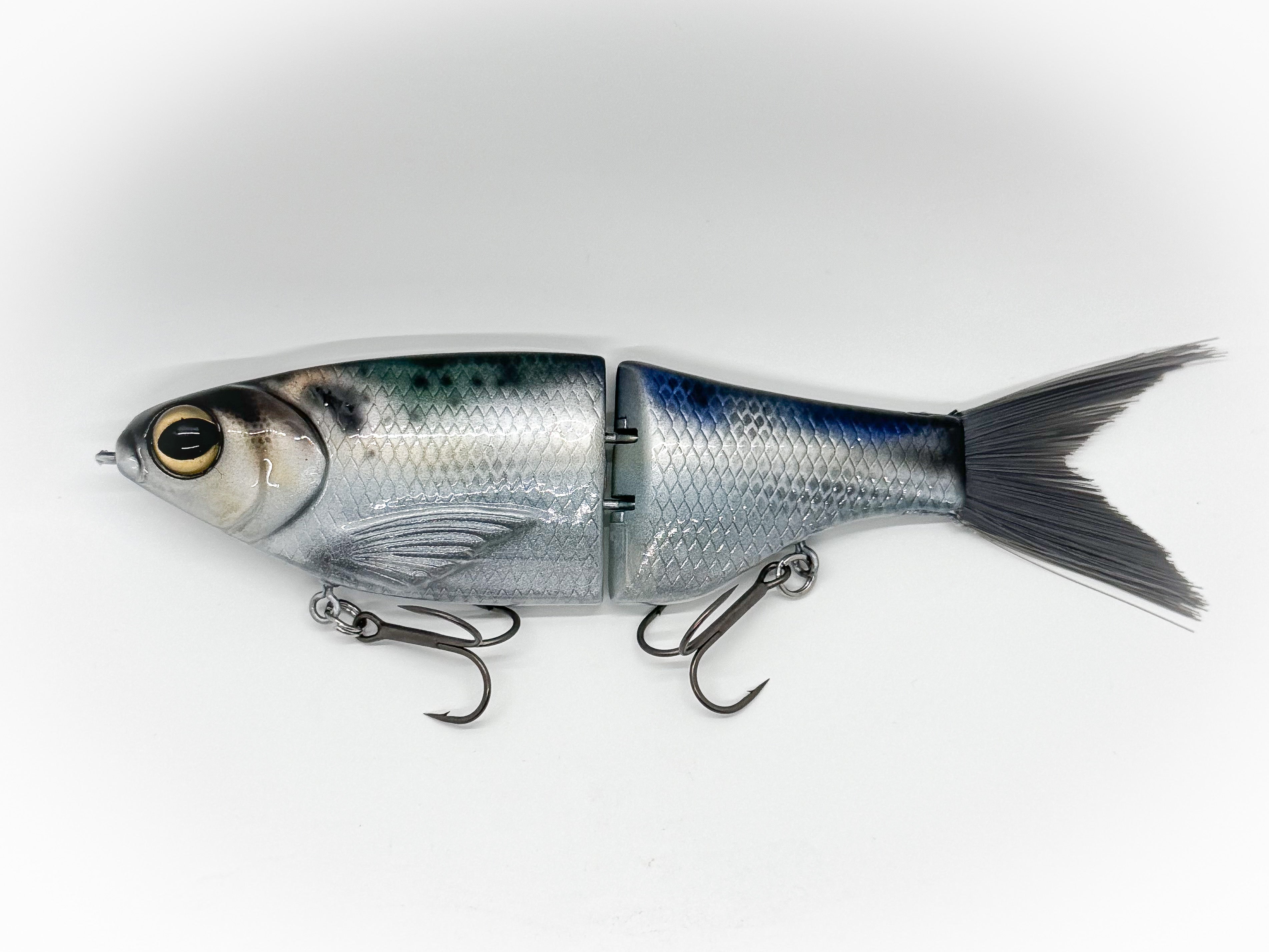 carl holland fishing lure branson mo dying shad SPRO KGB Chad Shad 180